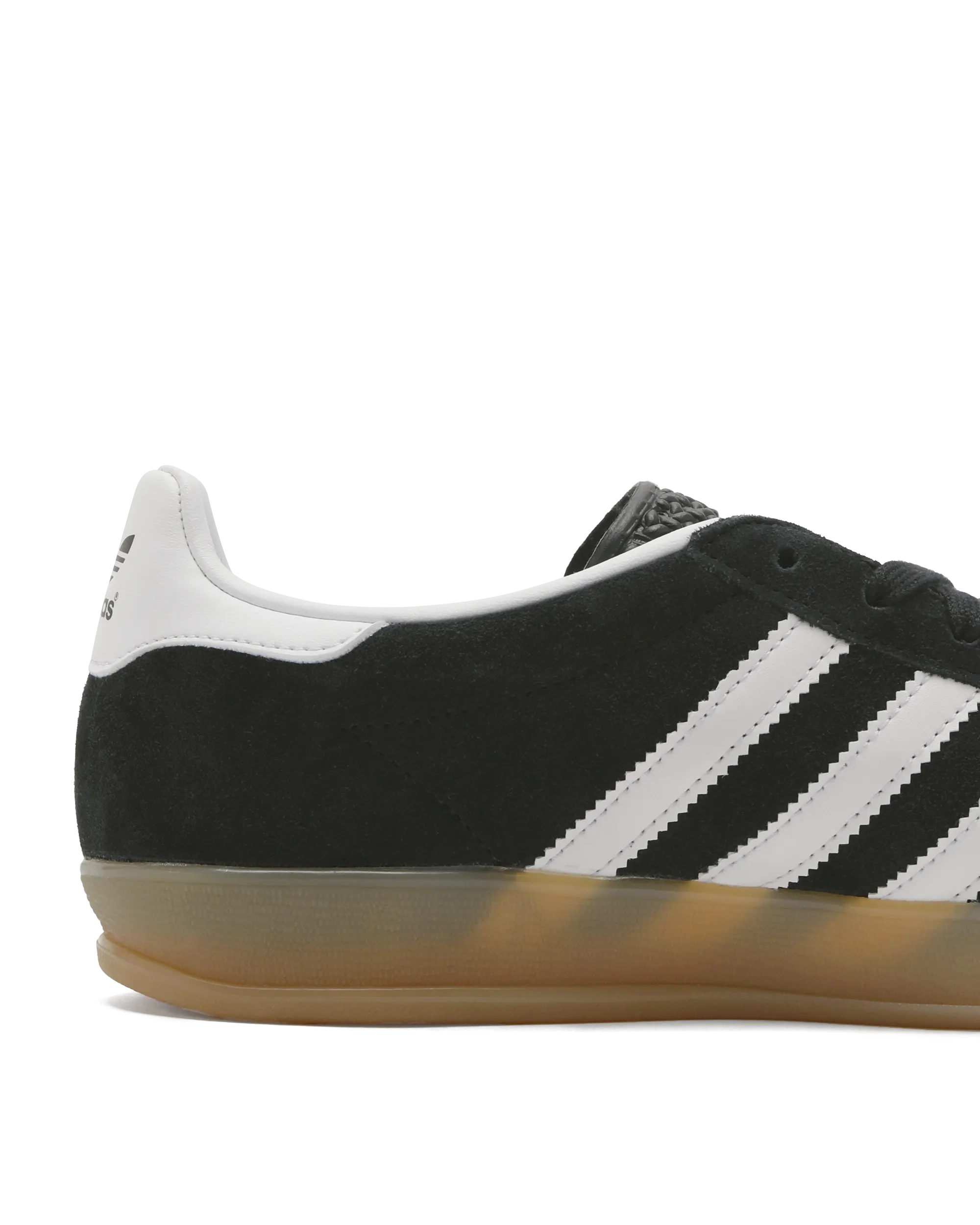 GAZELLE INDOOR