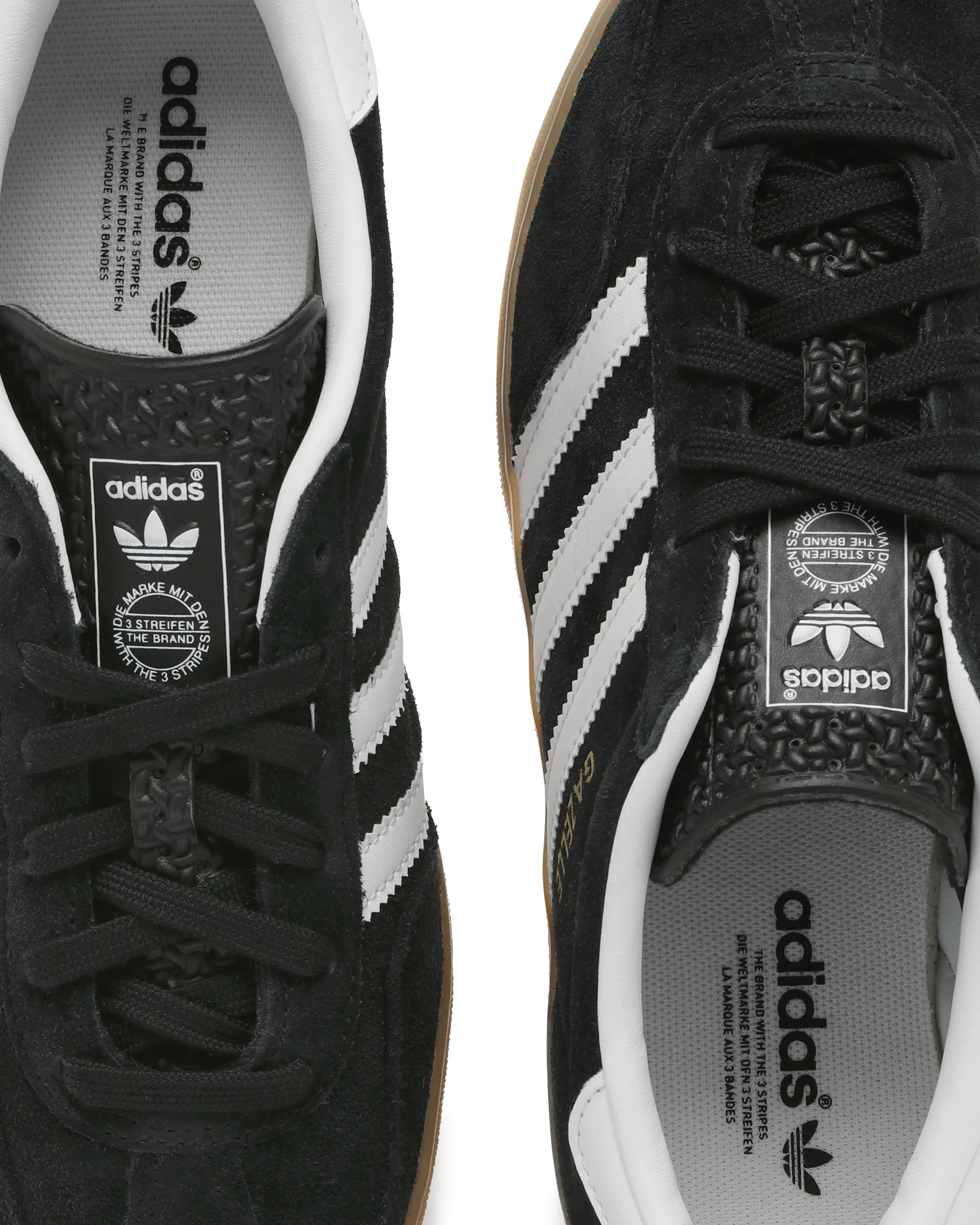 GAZELLE INDOOR